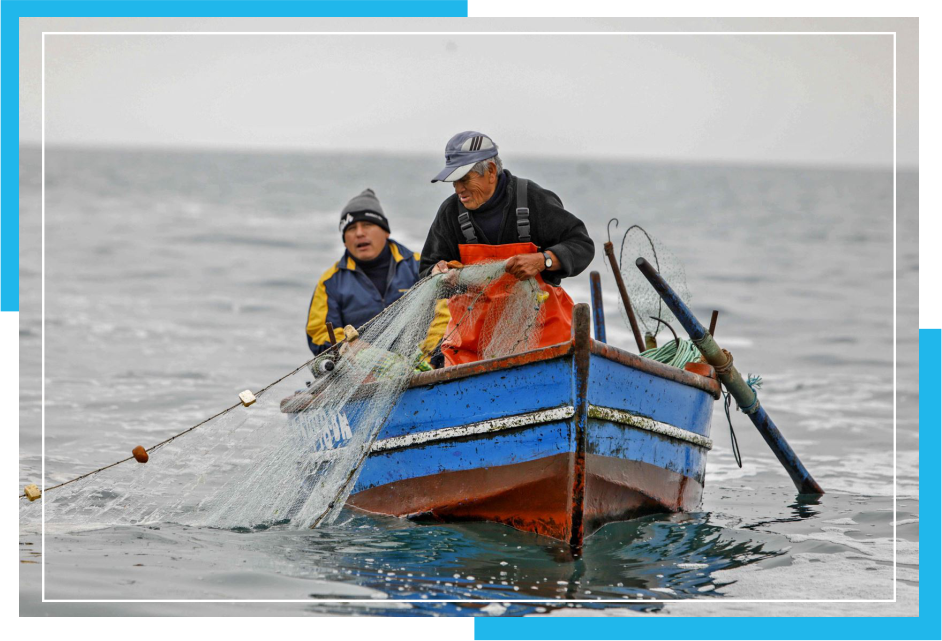 SOBRE NOSOTROS fomentapesquera